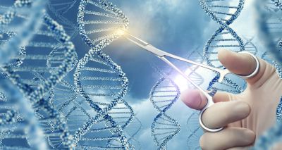 Government launches gene editing consultation